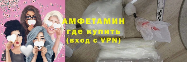 шишки Мегион