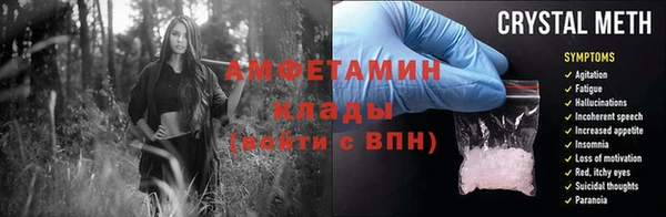 шишки Мегион