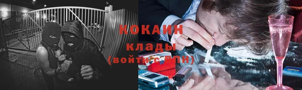 PSILOCYBIN Михайловка