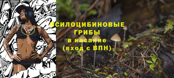 шишки Мегион