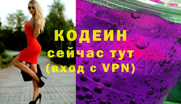 шишки Мегион