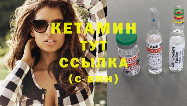 шишки Мегион