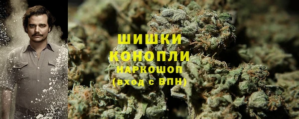 шишки Апатиты