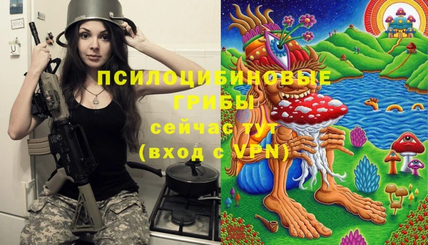 PSILOCYBIN Михайловка