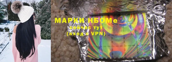 шишки Мегион