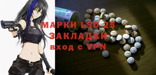 шишки Апатиты