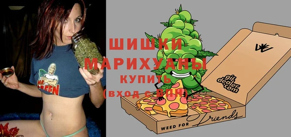 мдпв Михайлов