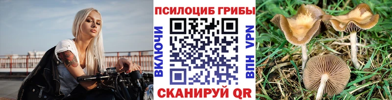 Галлюциногенные грибы мухоморы  Кинешма 