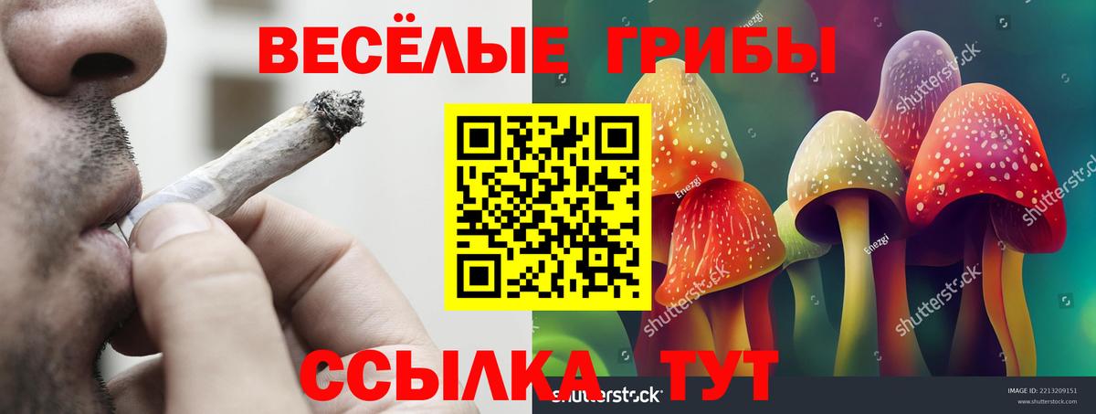Галлюциногенные грибы прущие грибы Кинешма